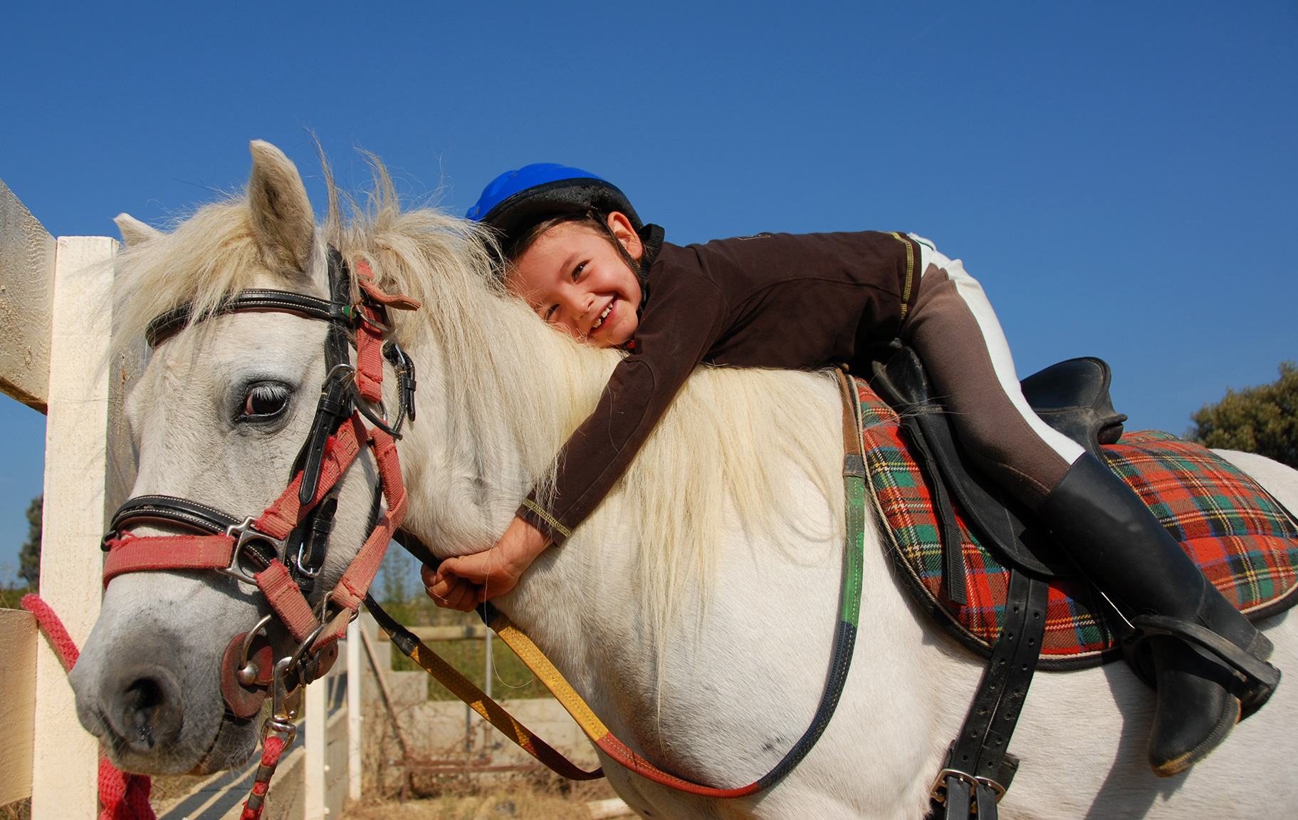 Right Age To Start Horse Riding